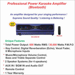 Pro. Power Amplifier(Blue)