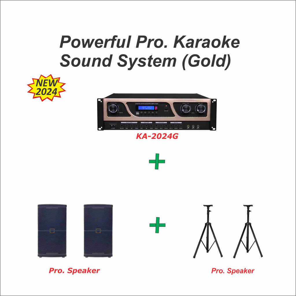 Power Karaoke Sound System (Gold)