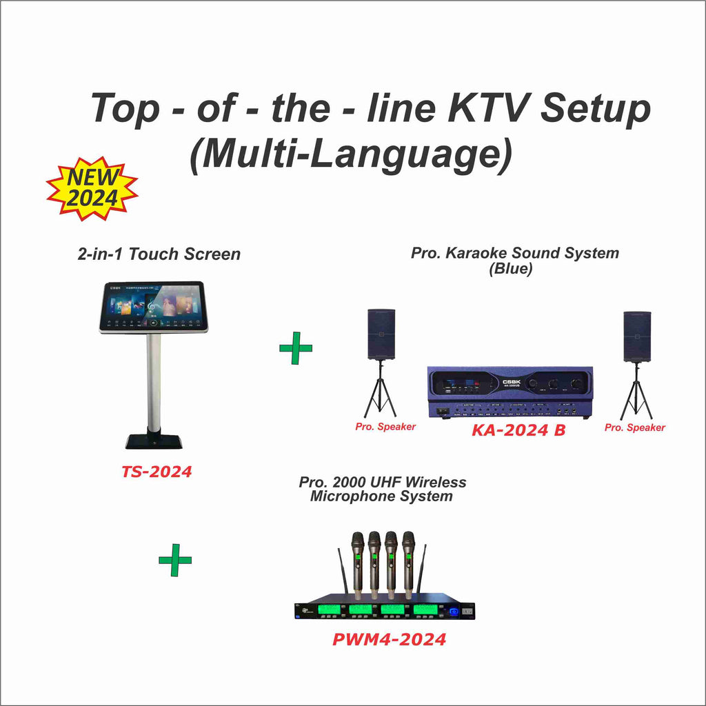 Top-of-the-line KTV Setup